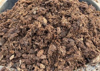 Grov svensk sphagnum 225 L.